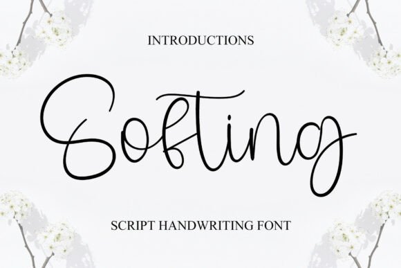 Discover Softing: A Dainty Script Font for Editorial Elegance