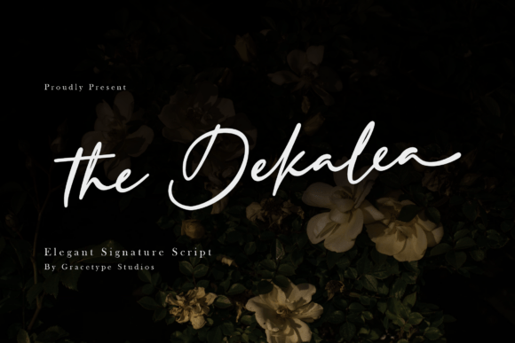The Dekalea: A Premium Script Font for Elegant Branding