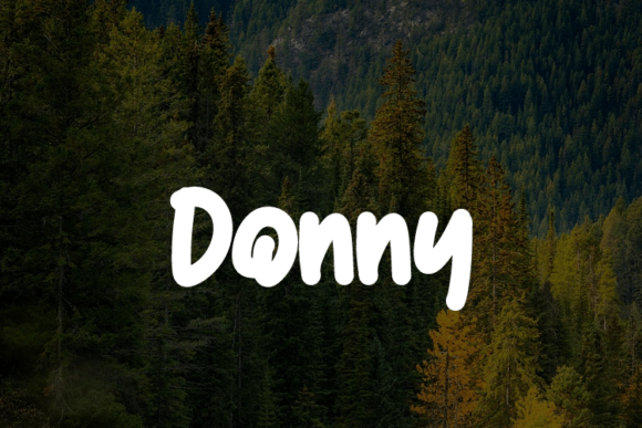 Transform Your Brand with Donny: A Versatile Font for Business