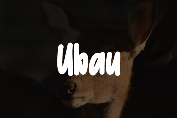 Ubau: A Versatile Typeface for Modern Campaigns