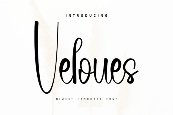 Veloues: A Handwritten Font for Memorable Campaigns